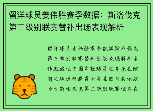 留洋球员姜伟胜赛季数据：斯洛伐克第三级别联赛替补出场表现解析